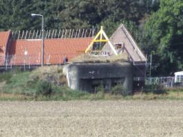 Ligne Maginot - B296 - CHAPELLE MADAME (Blockhaus pour canon) - Blockhaus dans son environnement.