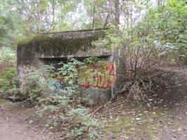 Ligne Maginot - B303 - Le FOREST (Blockhaus pour canon) - 