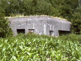 Ligne Maginot - B306 - ROCH Est (Blockhaus pour canon) - 