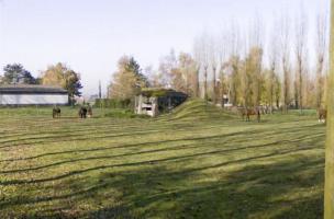Ligne Maginot - B326 - QUENNAUMONT (Blockhaus pour canon) - 