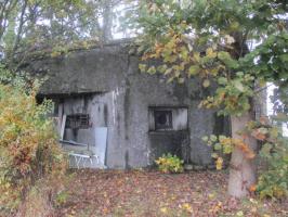 Ligne Maginot - B345 - BERCU PONT d'OR (Blockhaus pour canon) - 