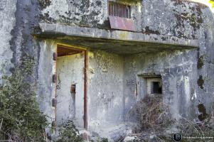 Ligne Maginot - 31/3 - SAASENHEIM - (Casemate d'infanterie - Double) - Entrée de la casemate avec son créneau pour fusil mitrailleur