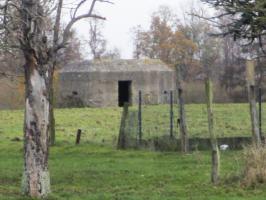 Ligne Maginot - B363 - CASERNE des DOUANES (Blockhaus pour canon) - Blockhaus situé dans un pré.