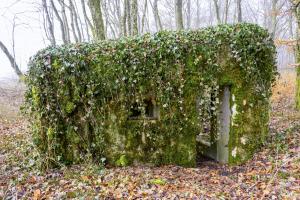 Ligne Maginot - MBO3 - (Blockhaus pour canon) - 