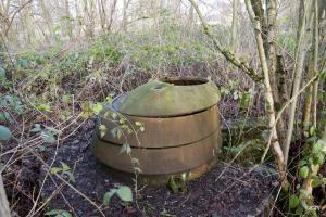 Ligne Maginot - T7 - BOIS DE LA TASSONNIERE OUEST (TD N° 363) - (Cuve pour arme d'infanterie) - 