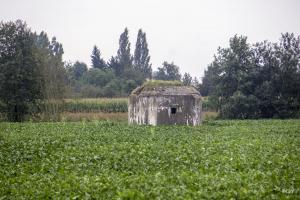 Ligne Maginot - BEF 682 - ROBREUX EST - (Blockhaus pour arme infanterie) - 