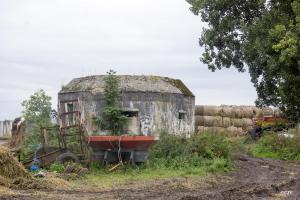 Ligne Maginot - BEF 675 - CENSE DE CHOQUES SUD EST - (Blockhaus pour arme infanterie) - 