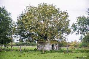 Ligne Maginot - BEF 672 - CENSE DE CHOQUES NORD OUEST - (Blockhaus pour arme infanterie) - 