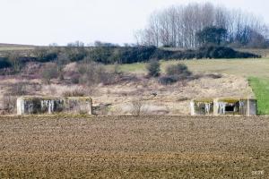 Ligne Maginot - BEF 668 - QUENPOINNE SUD - (Casemate d'artillerie) - 