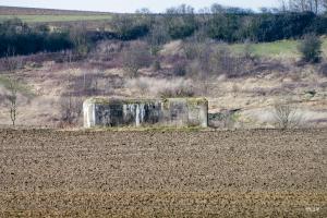 Ligne Maginot - BEF 668 - QUENPOINNE SUD - (Casemate d'artillerie) - 