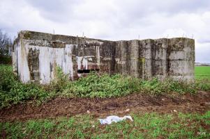 Ligne Maginot - BEF 203 - BABERMONT NORD - (Blockhaus pour canon) - 