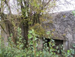 Ligne Maginot - BEF 213 - COUTURE DU BAS-SAINGHIN SUD - (Blockhaus pour arme infanterie) - 