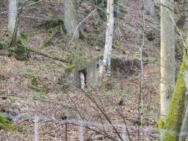 Ligne Maginot - M10 - NONNENHARDT EST 3 - (Blockhaus pour arme infanterie) - L'entrée vu depuis le chemin en contre-bas