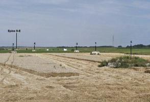 Ligne Maginot - Blockhaus BEF de CHAPELLE aux ARBRES 1 à 5 - 