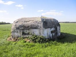 Ligne Maginot - BEF 321 - CHAPELLE aux ARBRES 4 (Blockhaus pour arme infanterie) - 