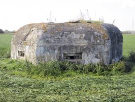 Ligne Maginot - BEF 320 - CHAPELLE aux ARBRES 2 (Blockhaus pour arme infanterie) - 