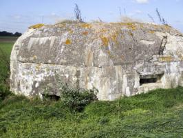 Ligne Maginot - BEF 320 - CHAPELLE aux ARBRES 2 (Blockhaus pour arme infanterie) - 