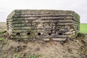 Ligne Maginot - BEF 659 - L'ARBRE (Blockhaus pour arme infanterie) - 