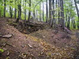 Ligne Maginot - WASSERLOCH - (Position d'artillerie préparée) - Probable emplacement pour cagna au Sud de la position des pièces