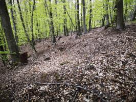 Ligne Maginot - SAUECK - (Position d'artillerie préparée) - Réseaux de tranchées et vestiges de poêle à bois