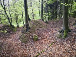 Ligne Maginot - SAUECK - (Position d'artillerie préparée) - Profond réseau de tranchées avec vestiges d'un abri (cheminée présente)