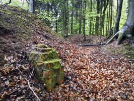 Ligne Maginot - SAUECK - (Position d'artillerie préparée) - Vestiges d'une cheminée d'un probable abri