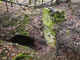 Ligne Maginot - SAUECK - (Position d'artillerie préparée) - Deuxième abri en tôle métro avec vestiges de mur à droite