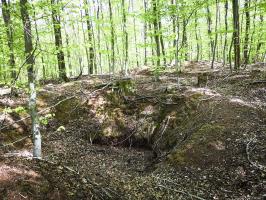 Ligne Maginot - SAUECK - (Position d'artillerie préparée) - Profonds encuvements pour probable cagna ou abri (Position Spitzberg).

Il est très compliqué de différencier les positions françaises sur ce côté, le Spitzberg étant un champ de bataille durant l'opération Nordwind en 1945, allemands et américains y avaient aussi leurs positions.