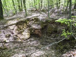 Ligne Maginot - SAUECK - (Position d'artillerie préparée) - Profonds encuvements pour probable cagna ou abri (Position Spitzberg).

Il est très compliqué de différencier les positions françaises sur ce côté, le Spitzberg étant un champ de bataille durant l'opération Nordwind en 1945, allemands et américains y avaient aussi leurs positions.