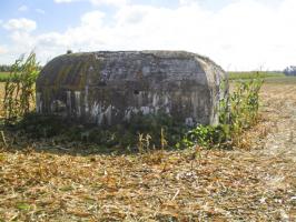Ligne Maginot - BEF 352 - BAS DU CHEMIN DE CAMPHIN 2 - (Blockhaus pour arme infanterie) - 