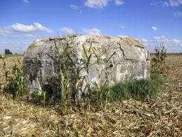 Ligne Maginot - BEF 352 - BAS DU CHEMIN DE CAMPHIN 2 - (Blockhaus pour arme infanterie) - 