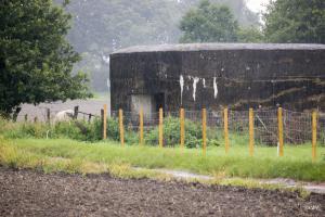Ligne Maginot - BEF 361 - LE MAZET - (Blockhaus pour canon) - 