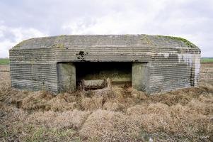 Ligne Maginot - BEF 362 - HAUT DES MARLIERES NORD 1 - (Blockhaus pour canon) - 