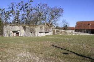 Ligne Maginot - MC32 - STG E - (Casemate d'infanterie - double) - Le terrain devant la casemate a été rendu cultivable. Elle est donc dégagée (pour le moment)