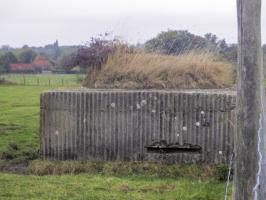 Ligne Maginot - BEF 399 - BOIS DES AULNOIS NORD 2 - (Observatoire d'artillerie) - 