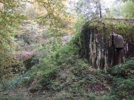 Ligne Maginot - MONT DES WELCHES - A21 - (Ouvrage d'artillerie) - Bloc 4
Le bloc est entièrement merlonné et disparaît sous la végétation.