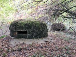 Ligne Maginot - MONT DES WELCHES - A21 - (Ouvrage d'artillerie) - Bloc 5
Vue d'ensemble.