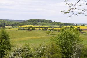 Ligne Maginot - Ouvrage d'artillerie du MONT des WELCHES - Vue sur la colline du Mont des Welsches depuis l'ouvrage du Michelsberg