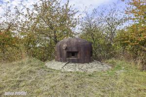 Ligne Maginot - VECKRING - X21 - (Abri) - Coffre nord
Cloche GFM