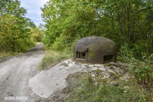 Ligne Maginot - VECKRING - X21 - (Abri) - Coffre Sud
Cloche GFM 