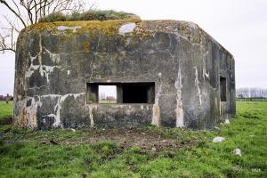 Ligne Maginot - BEF 417 - FOSSE TREHOIRE SUD - (Blockhaus pour arme infanterie) - 