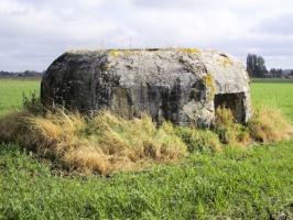 Ligne Maginot - BEF 462 - SARTAINE NORD - (Blockhaus pour arme infanterie) - Situé dans son environnement.