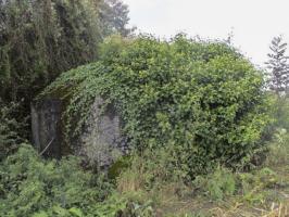 Ligne Maginot - BEF 469 - HAMEAU DE L'HOTEL EST - (Blockhaus pour arme infanterie) - 