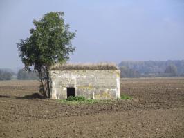 Ligne Maginot - BEF 571A - CRINQUET EST 1 - (Blockhaus pour arme infanterie) - Situé dans son environnement.