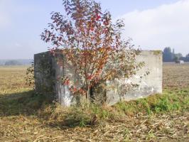 Ligne Maginot - BEF 568B - CRINQUET OUEST 2 - (Blockhaus pour arme infanterie) - Situé dans un champ cultivé, à gauche de la D 995 se dirigeant vers Planard.