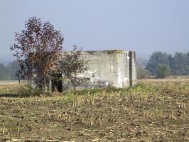 Ligne Maginot - BEF 568B - CRINQUET OUEST 2 - (Blockhaus pour arme infanterie) - Situé dans un champ cultivé, à gauche de la D 995 se dirigeant vers Planard.
