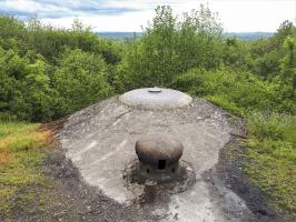 Ligne Maginot - KERFENT - A34 - (Ouvrage d'infanterie) - Bloc 4
La nature a bien poussée devant la cloche VP
