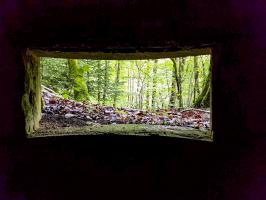 Ligne Maginot - F53 - LES TAVERNETTES 1 - HS107 - (Blockhaus pour arme infanterie) - Vue depuis une des créneaux