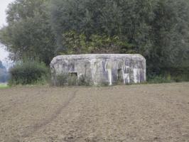 Ligne Maginot - BEF 497 - FLAGONIER OUEST - (Blockhaus pour arme infanterie) - Situé dans un champ cultivé, il est visible de la D 127 - Rue d'Orchies.