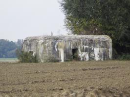 Ligne Maginot - BEF 497 - FLAGONIER OUEST - (Blockhaus pour arme infanterie) - Situé dans un champ cultivé, il est visible de la D 127 - Rue d'Orchies.